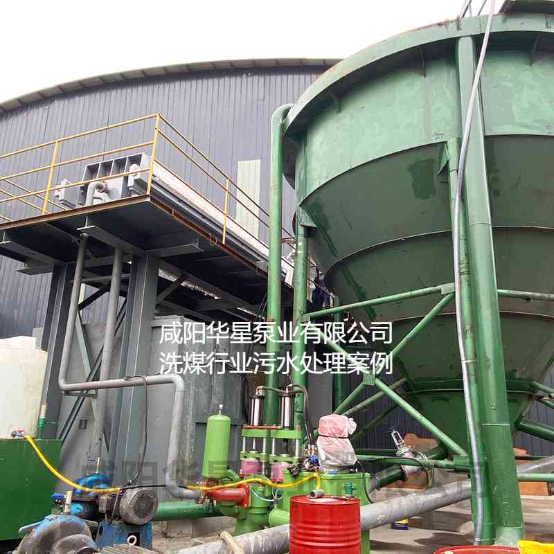 洗煤廠污水處理使用立式柱塞泵