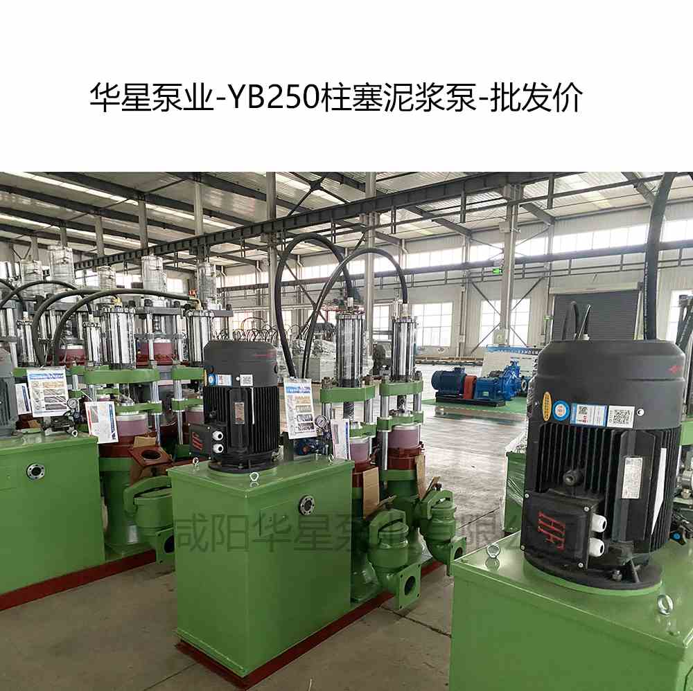 YB250陶瓷柱塞泵產(chǎn)品圖片