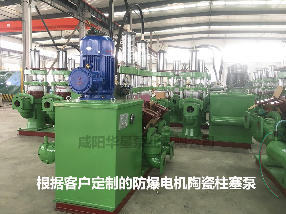 防爆電機陶瓷柱塞泵